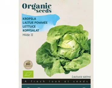 Lettuce Hilde BIO