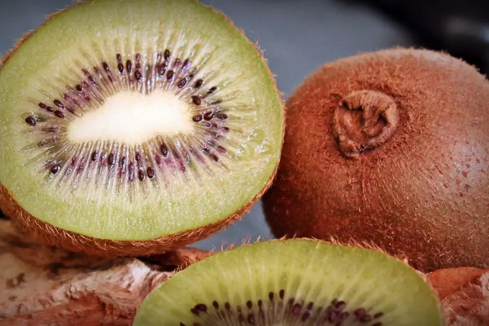 Actinidia deliciosa Hayward