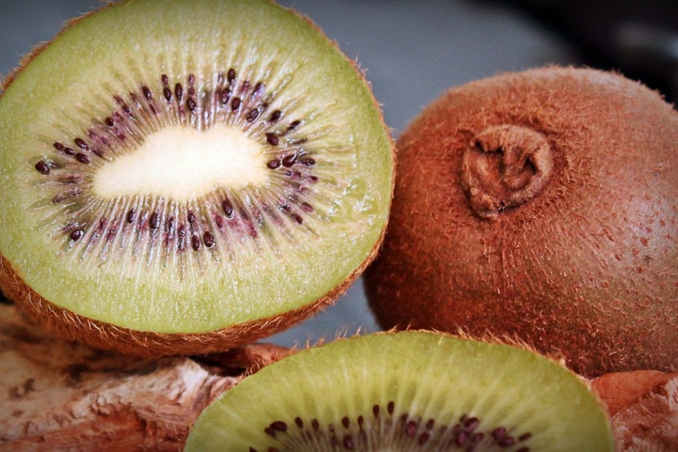 Actinidia deliciosa Hayward Actinidia deliciosa Hayward