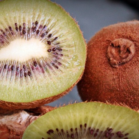 Actinidia deliciosa Hayward