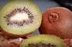 Actinidia deliciosa Hayward