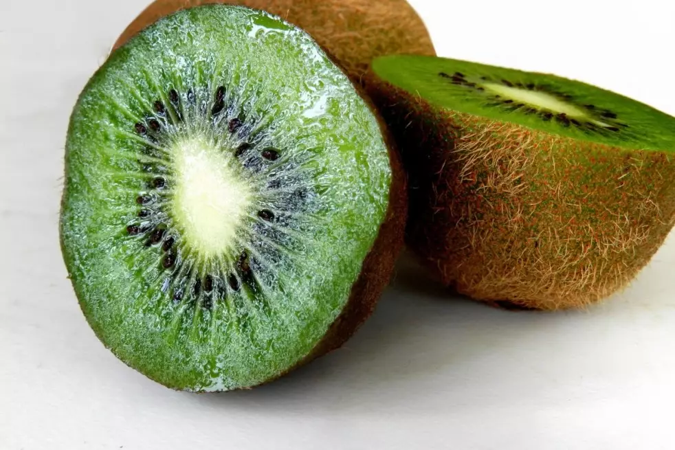 Actinidia deliciosa Jenny