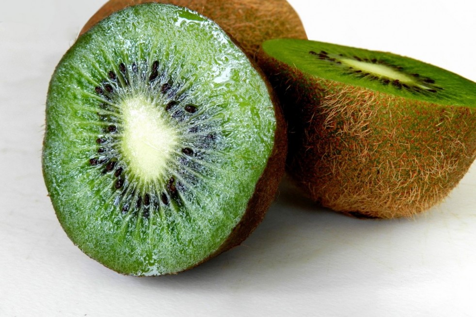 Actinidia deliciosa Jenny Actinidia deliciosa Jenny