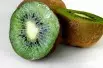 Actinidia deliciosa Jenny