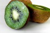 Actinidia deliciosa Jenny