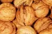 Juglans regia - Jardins du  Monde.be