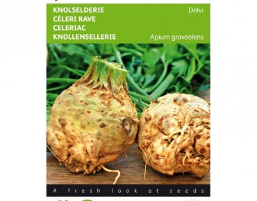 Céleri rave Dolvi, géant de...