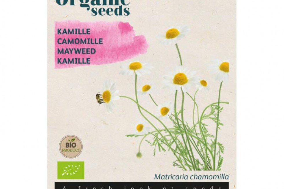 Matricaria chamomilla Matricaria chamomilla