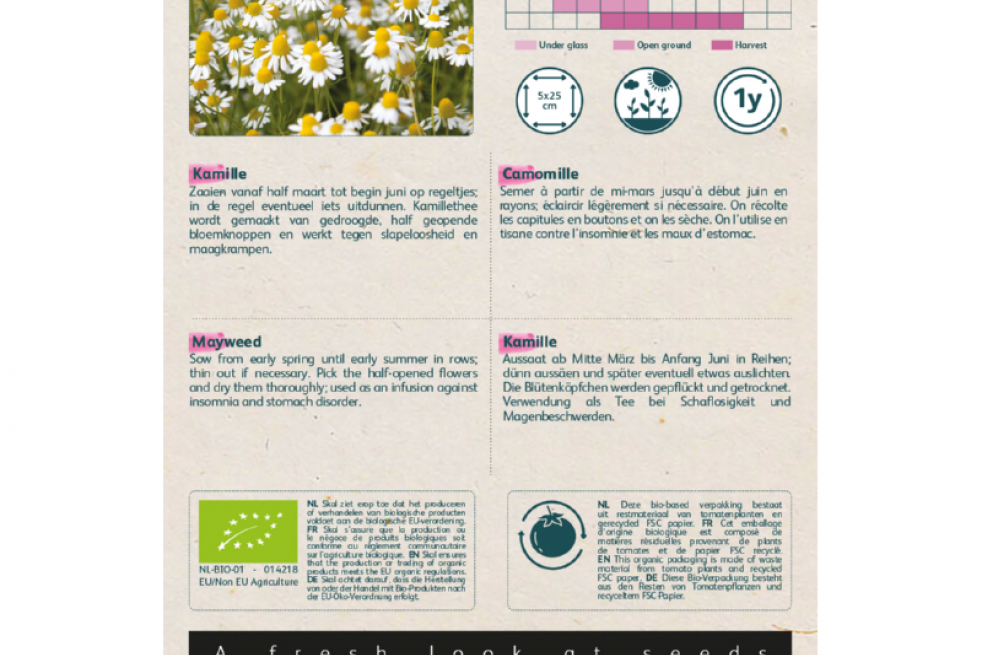 Matricaria chamomilla Matricaria chamomilla