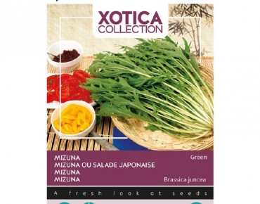 Mizuna - Japanese salad