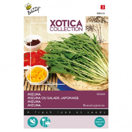 Zaden Mizuna, Japanse salade - Xiu ca - Brassica rapa subsp. nipposinica
