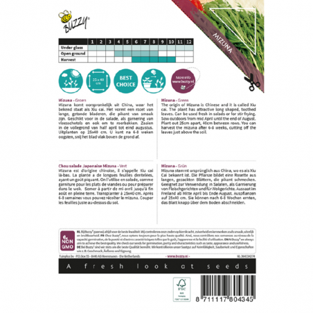 Seeds Mizuna - Japanese salad - Brassica rapa subsp. nipposinica