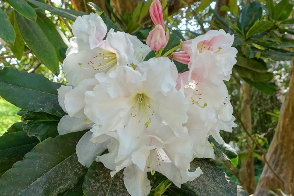 Daderot, CC0, via Wikimedia Commons Daderot, CC0, via Wikimedia Commons