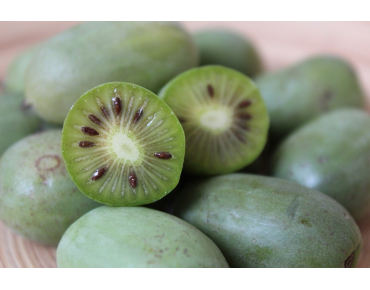 Kiwibes  - Actinidia Arguta Issai