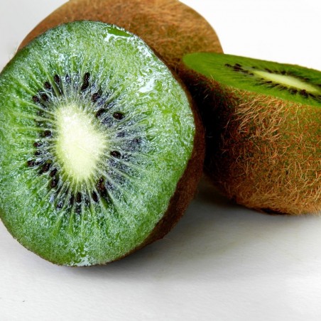 Actinidia deliciosa solissimo