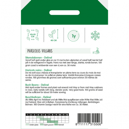 Semences Haricot nain Delinel - Phaseolus vulgaris