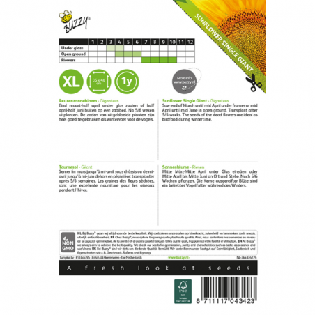 Seeds Giant Sunflower - Helianthus annuus