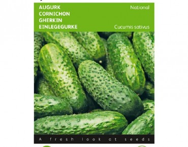 Cornichon Vert petit de Paris