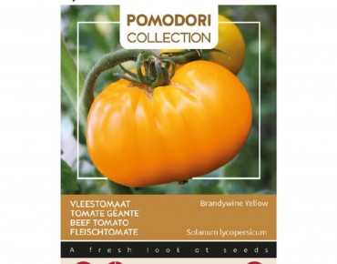 Gele vleestomaat Brandywine...