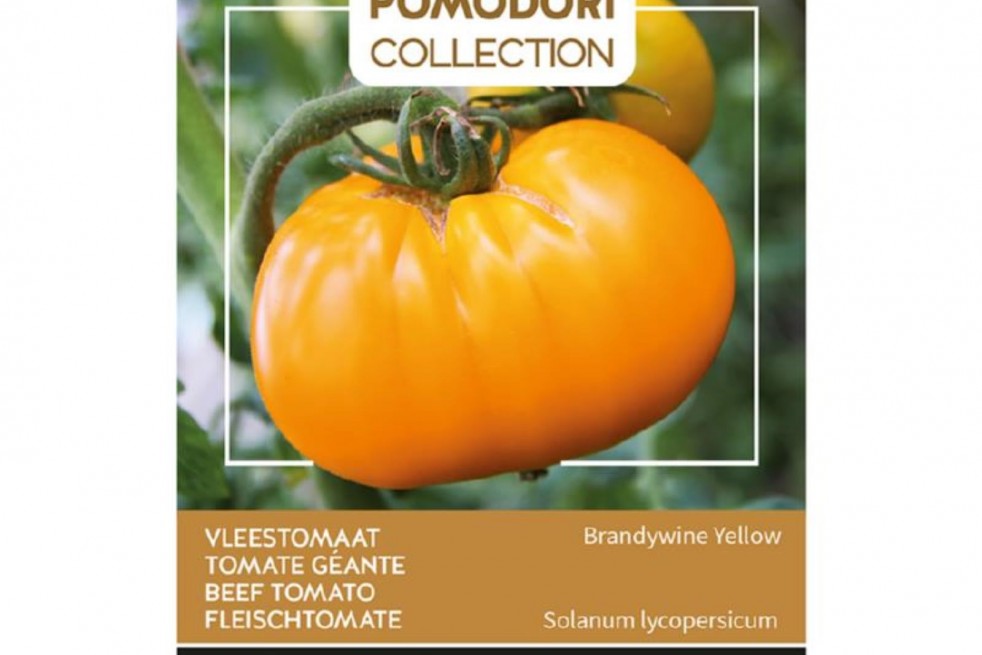 Brandywine Yellow