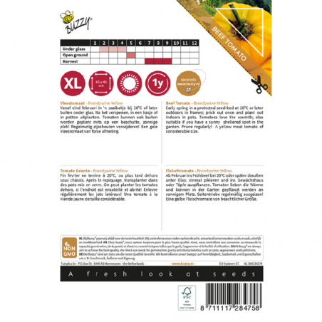 Seeds Brandywine yellow Beef tomato - Lycopersicum Lycop.