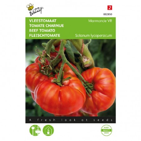 Semences Tomate Marmande - Lycopersicon esculentum