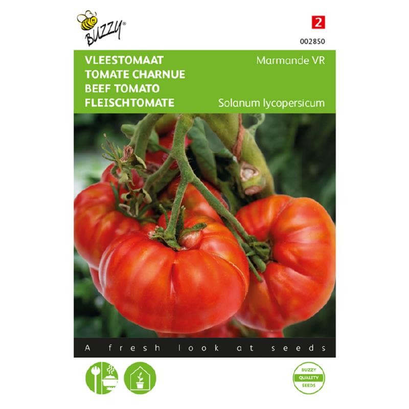 Marmande Tomato