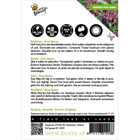 Seeds Thai Basil Siam Queen - Ocimum basilicum