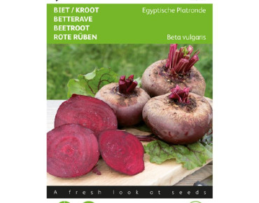 Rote Rüben Ägyptische...