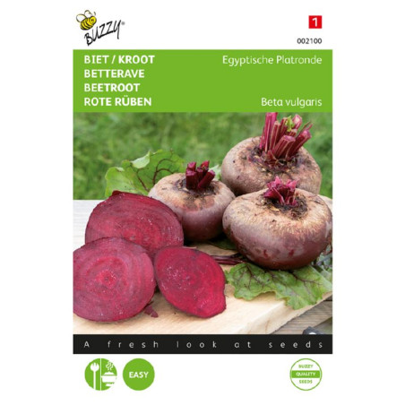 Seeds Egyptian Turnip Rooted Beetroot - Beta Vulgaris