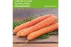 Berlikum Winter carrot Berlikum Winter carrot