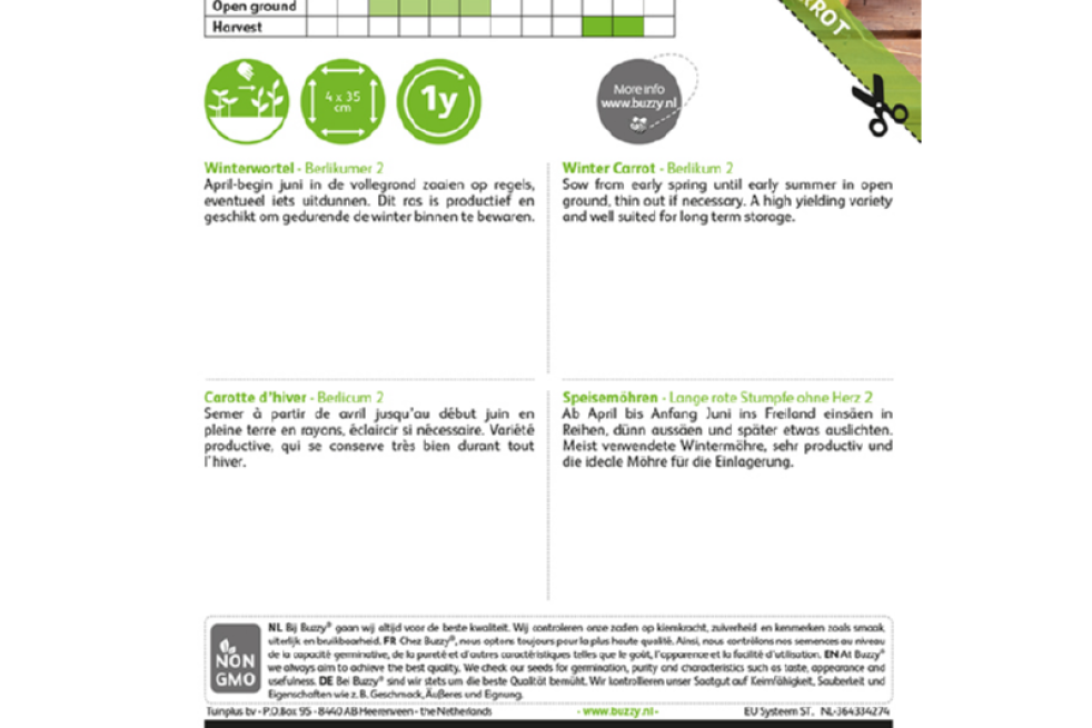 Berlikumer  winterwortel Berlikumer  winterwortel