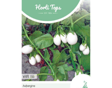 Aubergine White Eggs