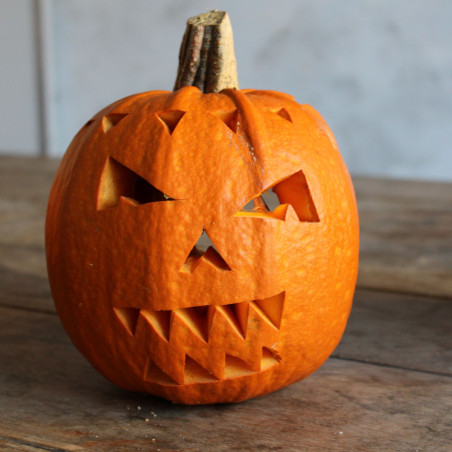 Zaden Halloween Pompoen Jack O'Lantern - Cucurbita pepo