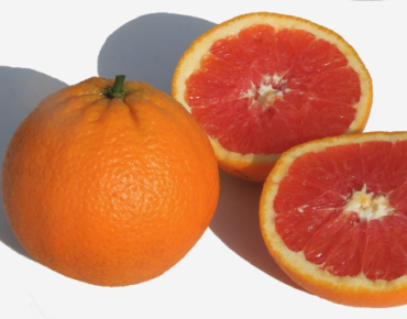 Citrus sinensis 'Cara Cara' - Jpbrigand, CC BY-SA 4.0 via Wikimedia Commons