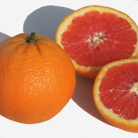 Citrus sinensis 'Cara Cara' - Jpbrigand, CC BY-SA 4.0 via Wikimedia Commons