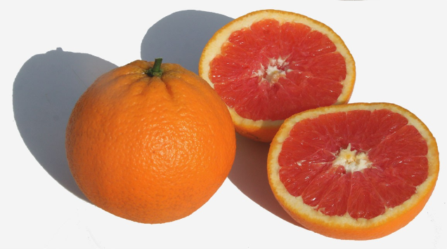 Orangenbaum Cara Cara