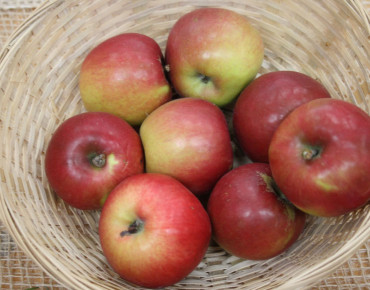 Malus domestica Jonathan - Bahnmoeller, CC BY-SA 3.0, via Wikimedia Commons