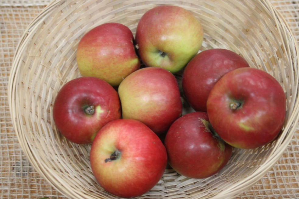 Malus domestica Jonathan - Bahnmoeller, CC BY-SA 3.0, via Wikimedia Commons Malus domestica Jonathan - Bahnmoeller, CC BY-SA 3.0, via Wikimedia Commons