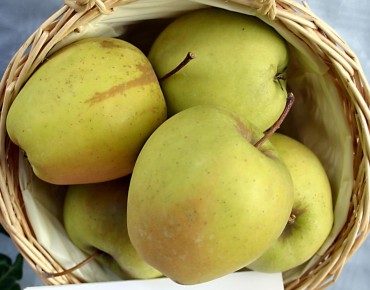 Malus dom. Golden Delicious : by User Steschke - CC-BY-SA-2.0-DE via Wikimedia Commons