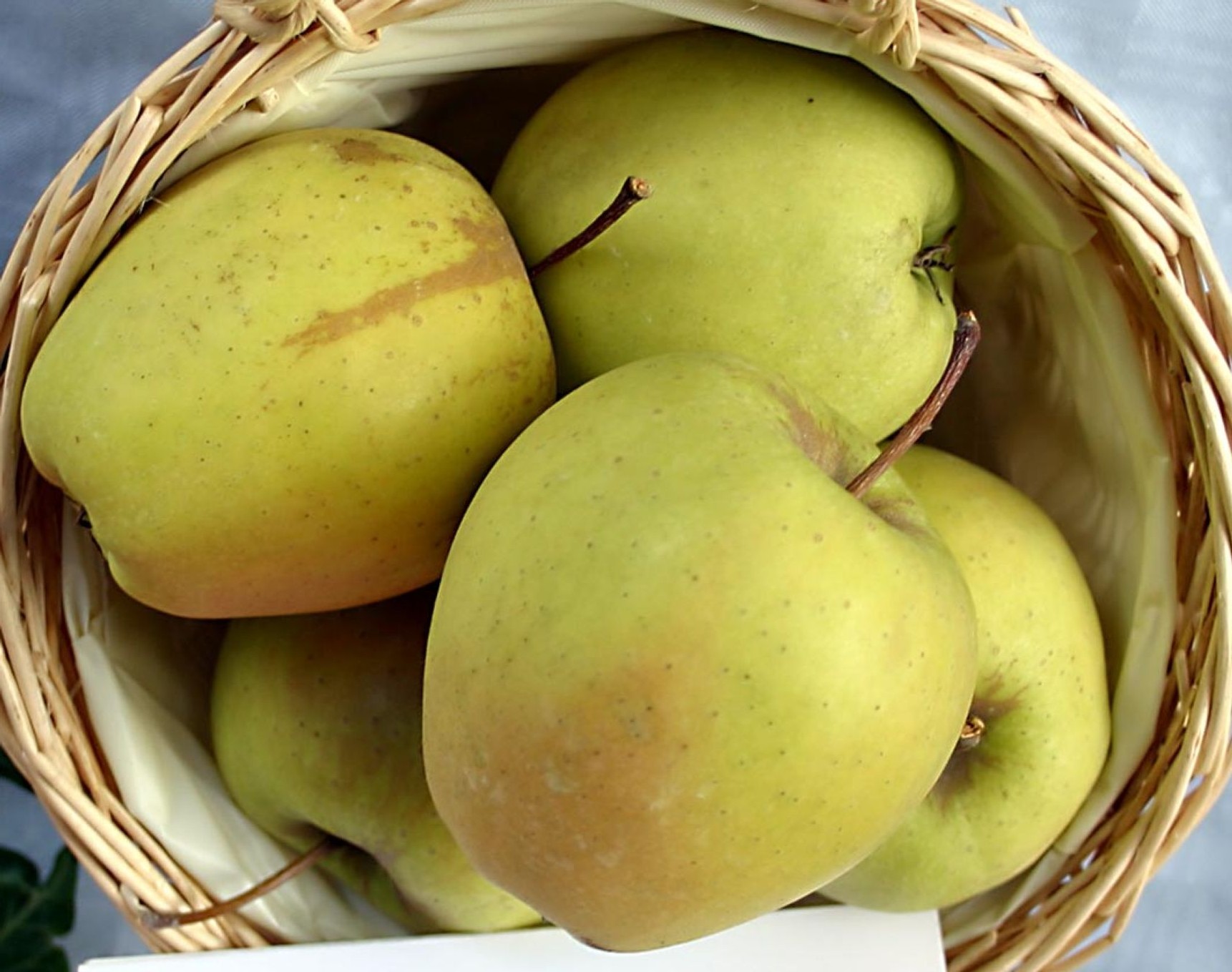 Apfelbaum Golden Delicious