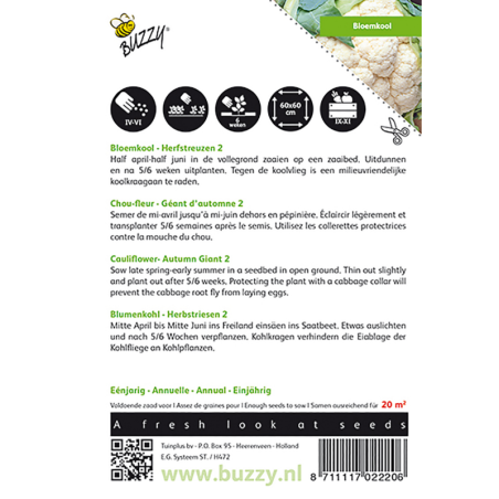 seeds Cauliflower autumn giant - Brassica oleracea L. var. botrytis L.