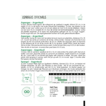 Asparages Argenteuil - Asparagus officinalis - vegetable seeds