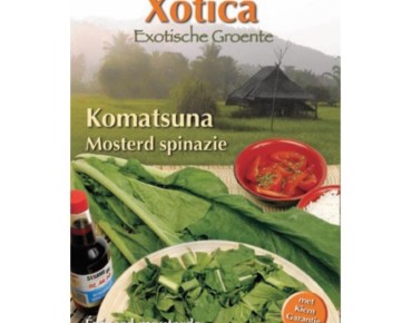 Zaden Mosterdspinazie, Komatsuna - Brassica rapa var. perviridis