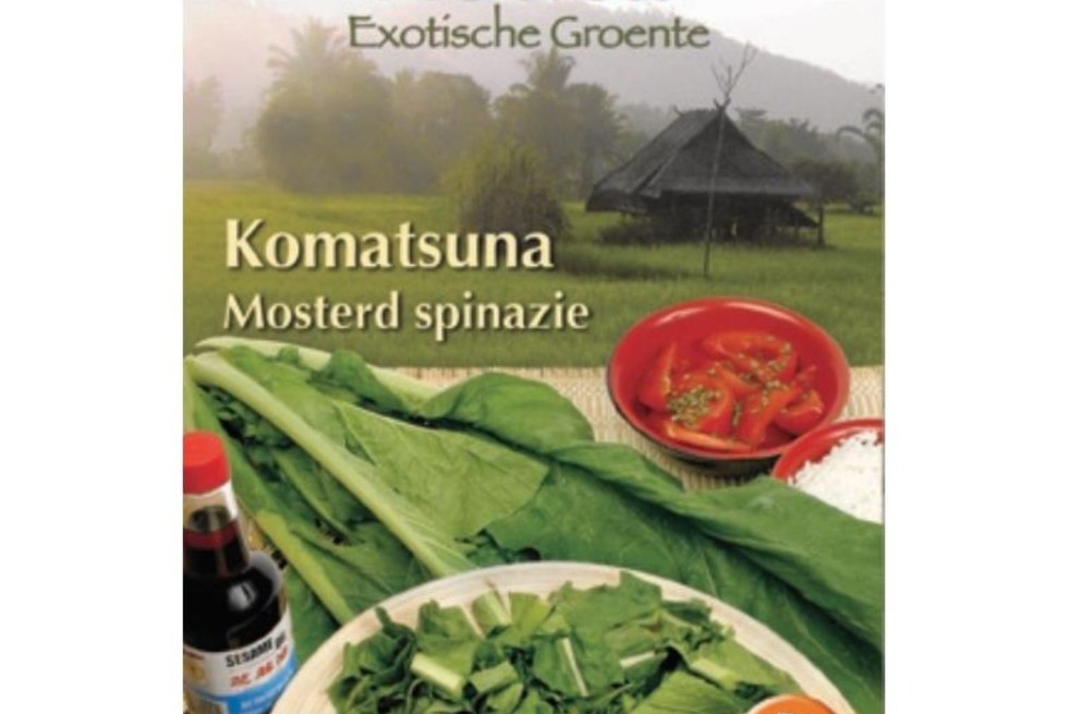 Semences Épinard Moutarde, Komatsuna - Brassica rapa var. perviridis