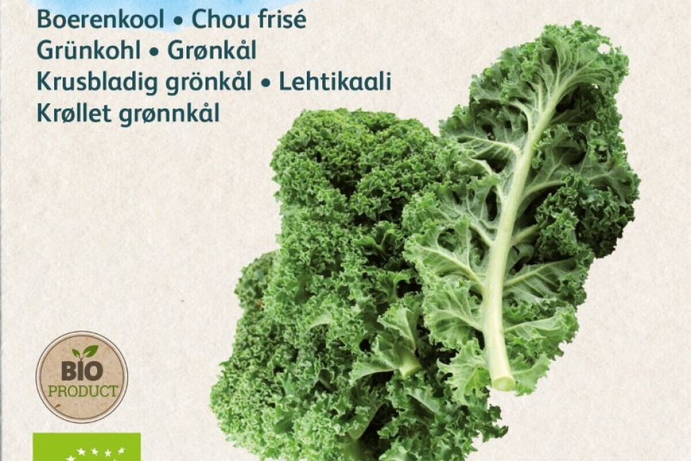 samen Grünkohl Westländer Herfst BIO - Brassica oleracea sabellica