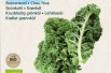 semences Chou Kale BIO - Automne de Westland - Brassica oleracea sabellica