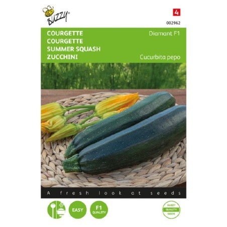 Seeds Green zucchini Diamant - Summer squash Diamant - Cucurbita pepo