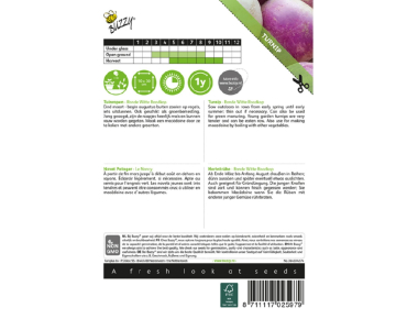 Samen Herbstrüben De Nancy - Brassica rapa - Jardins du Monde be