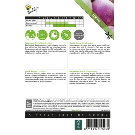 Jardins du Monde be - Zaden van Rapen Ronde Witte Roodkop, de Nancy - Brassica rapa